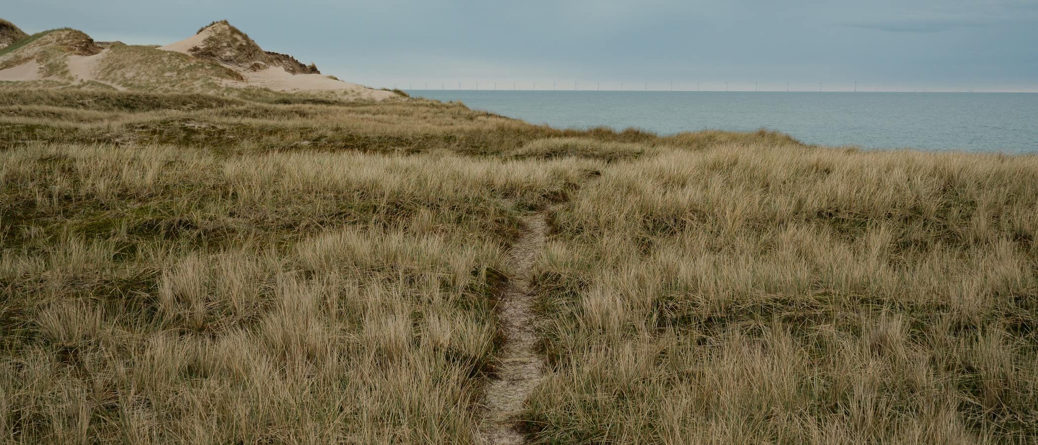 Sendero entre los médanos y el pastizal, abriéndose hacia el mar